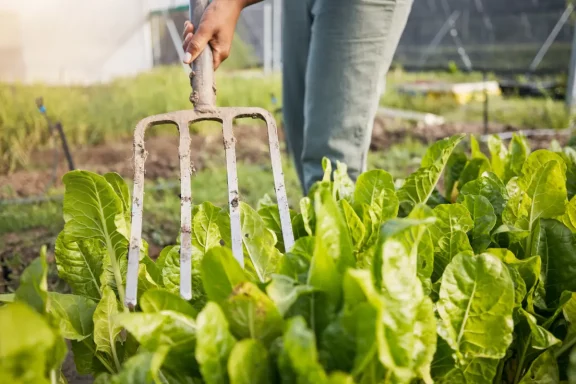 Top 5 Fall Plants to Start in Your Garden Now