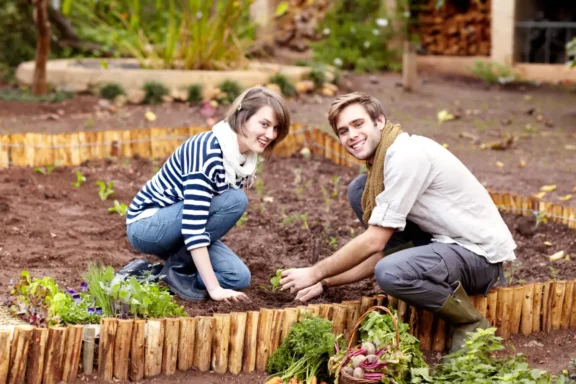 DIY Garden Projects: Winter Activities for Green Thumbs