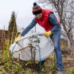 Protecting Your Garden Beds from Winter Frost