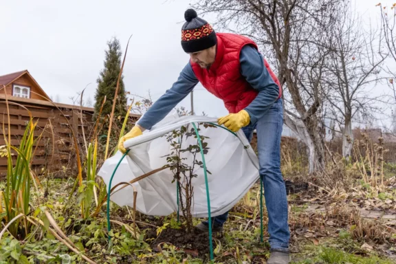 Protecting Your Garden Beds from Winter Frost