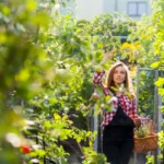 Urban Food Forests: Planning Your Edible Landscape