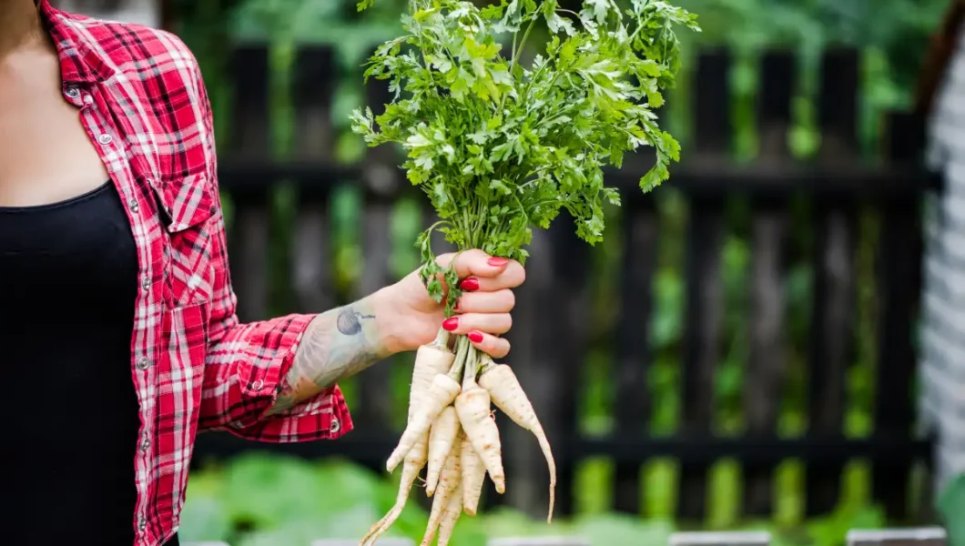 5 Easy Vegetables to Grow for New Gardeners in the US