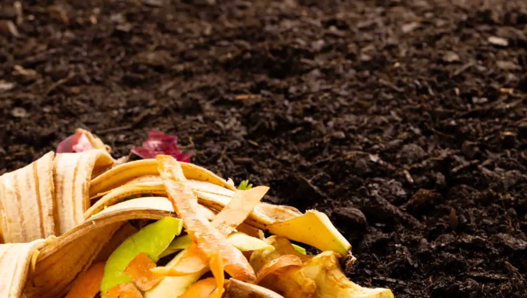 How to Compost for a Healthier Vegetable Garden