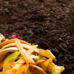 How to Compost for a Healthier Vegetable Garden