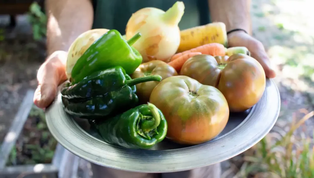 Heirloom Vegetables: Planning Next Year's Garden