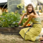 Permaculture Principles: Design Your Sustainable Garden